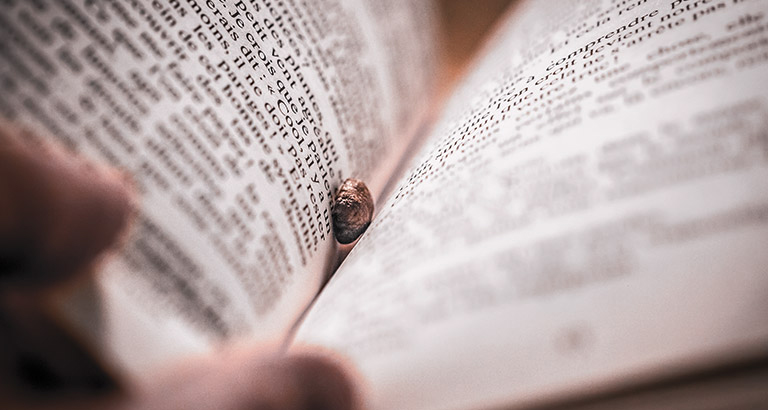 Zur Geschichte: Sprache