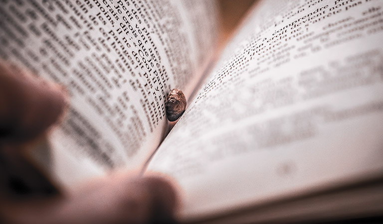 Zur Geschichte: Sprache